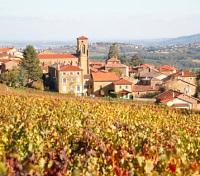 Beaujolais Region Beaujolais Region